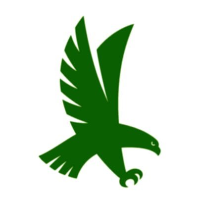 Firestone Logo